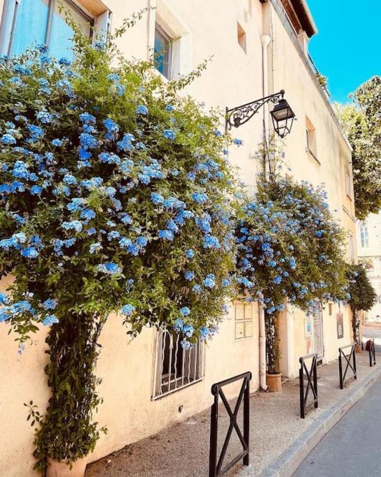 "Appart Aux Fleurs Bleus" Arles Fondation Van Gogh Exteriör bild